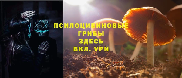 молекула духа Арсеньев