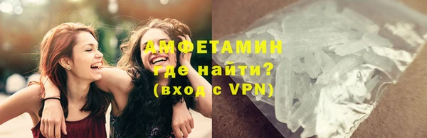 молекула духа Арсеньев
