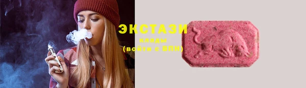 молекула духа Арсеньев