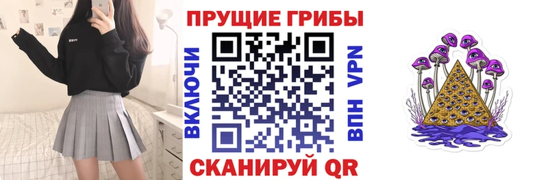 Псилоцибиновые грибы мицелий Серов